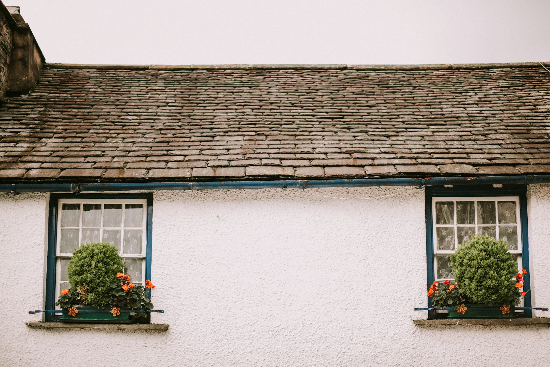 nanda-green-_XAOCEx4RYw-unsplash
